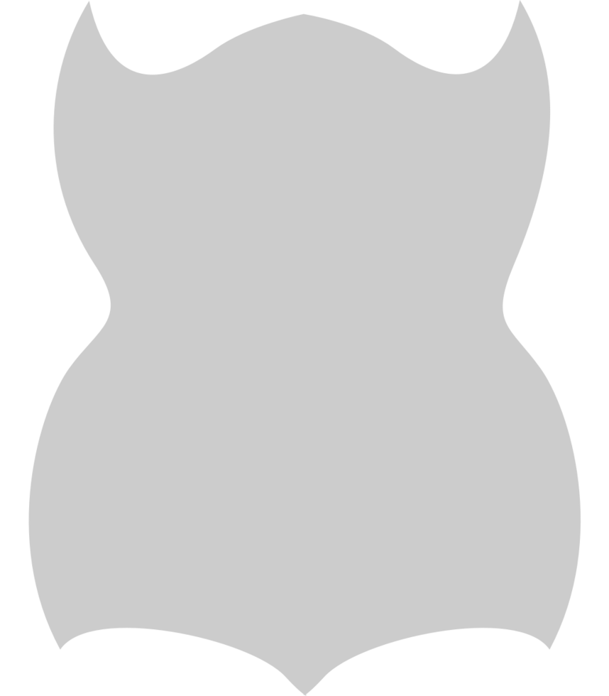 Shield vector