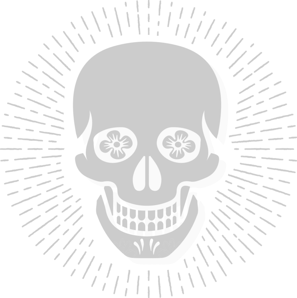Skull vector