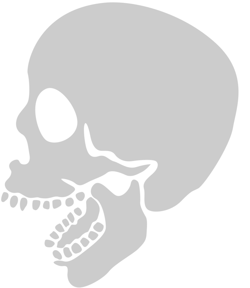Skull vector