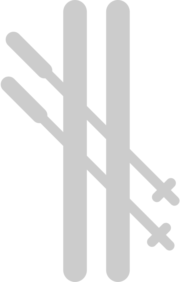 Winter Vacation Ski vector
