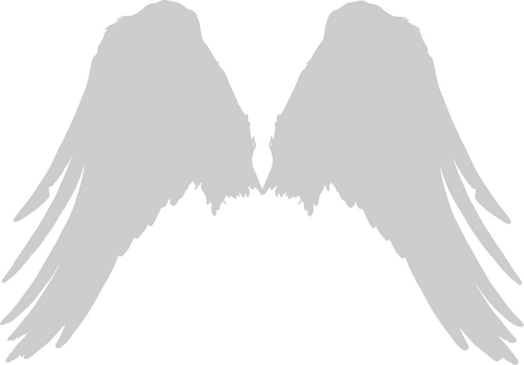 Angel Wings vector