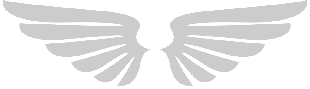 Angels Wings vector