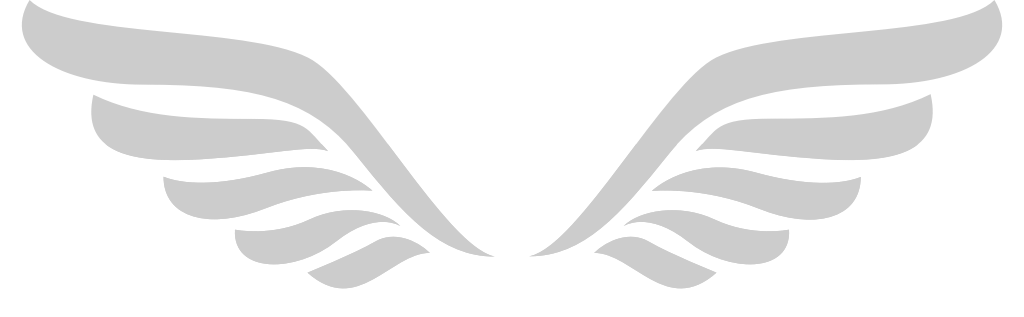 Angels Wings vector