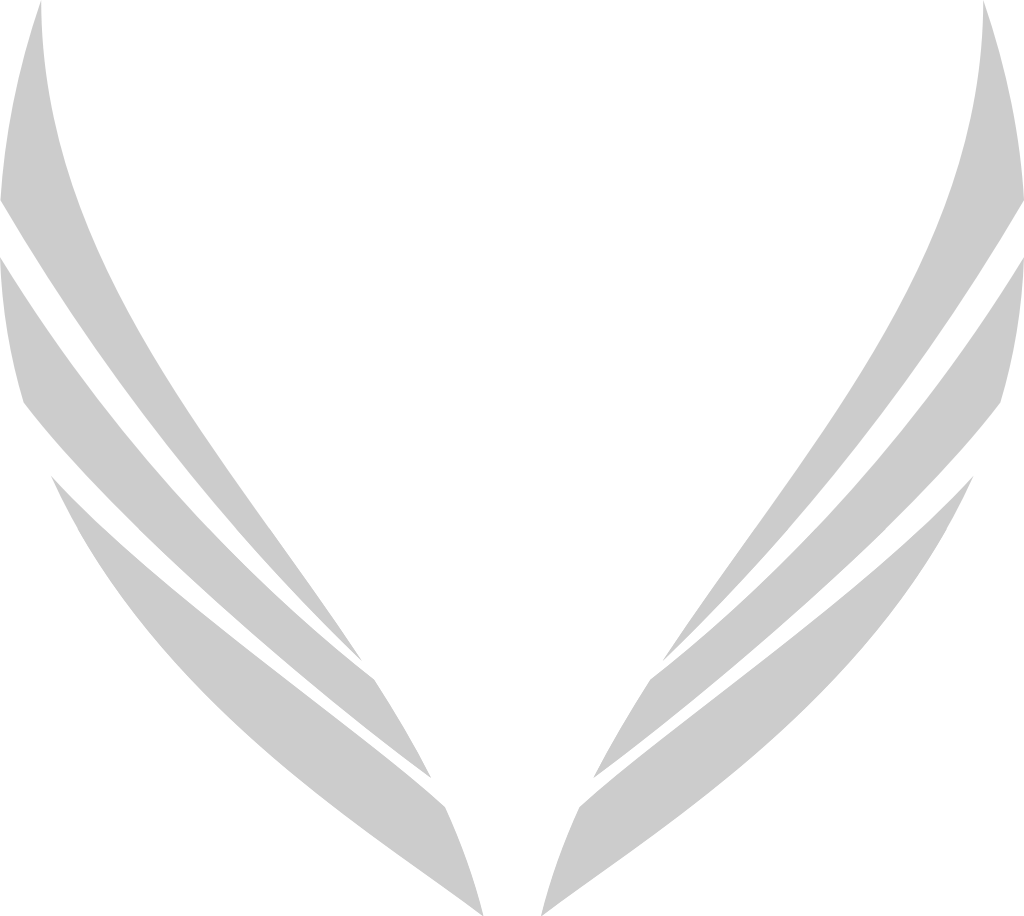 Angels Wings vector