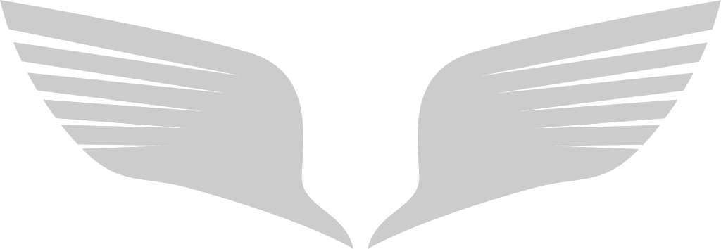 Angels Wings vector