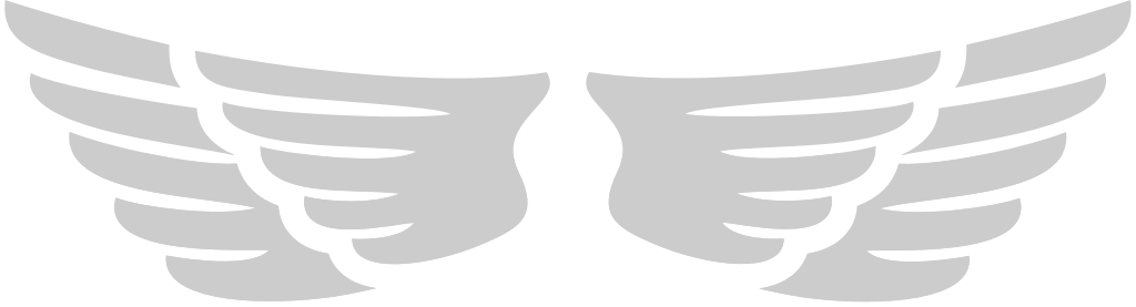 Angels Wings vector
