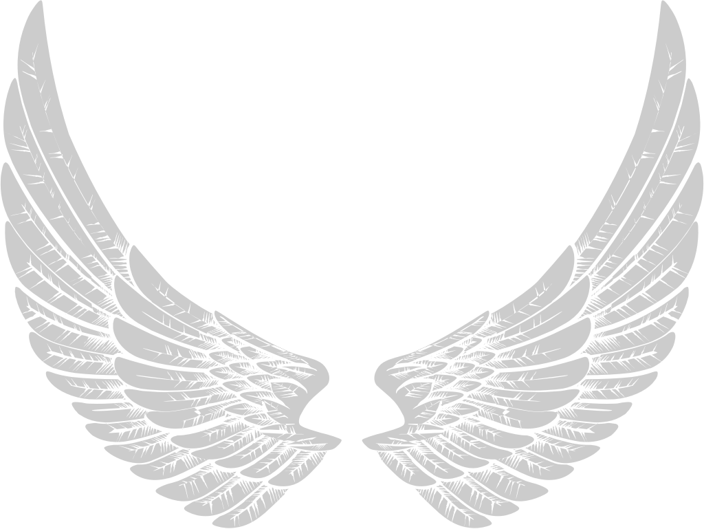Angels Wings vector