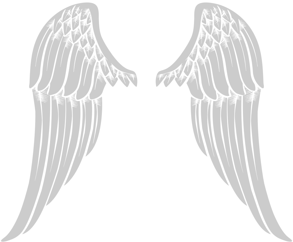 Angels Wings vector