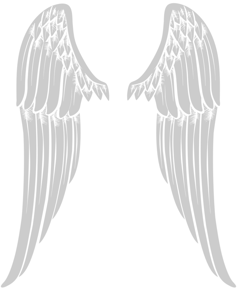 Angels Wings vector