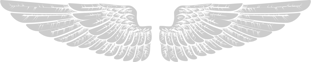 Angels Wings vector