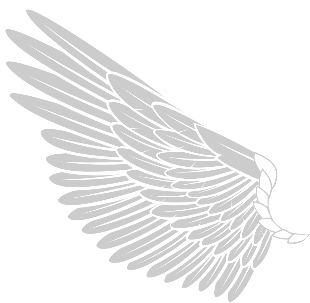 Angels Wing vector