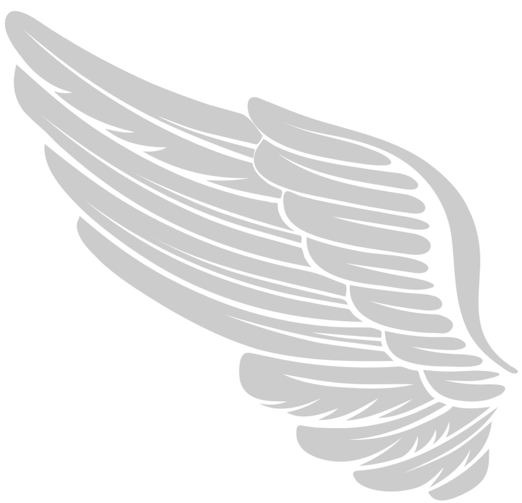 Angels Wing vector