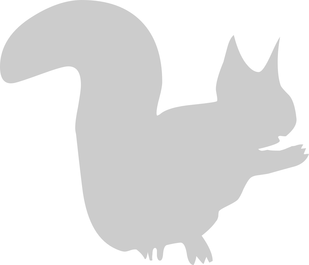 Squirrel vector