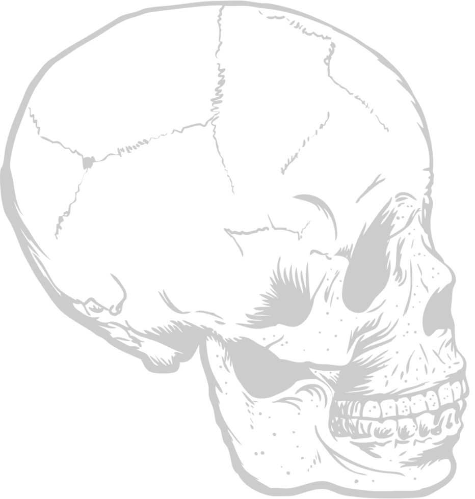 Skull vector