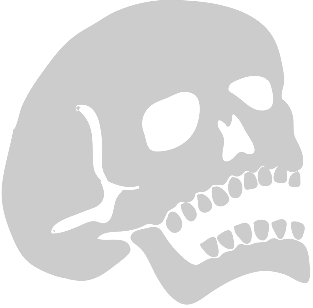 Skull  vector