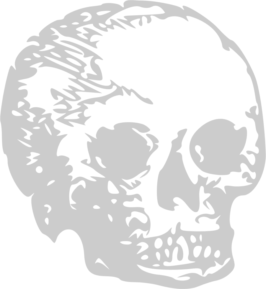 Skull grunge vector
