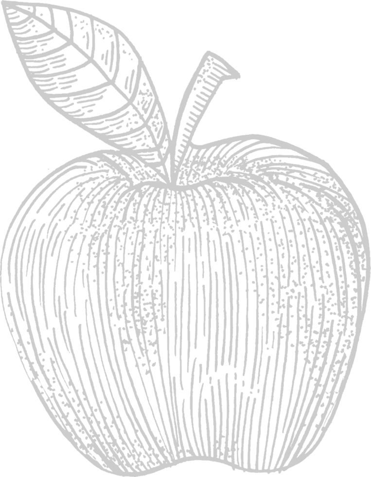 Apple vector