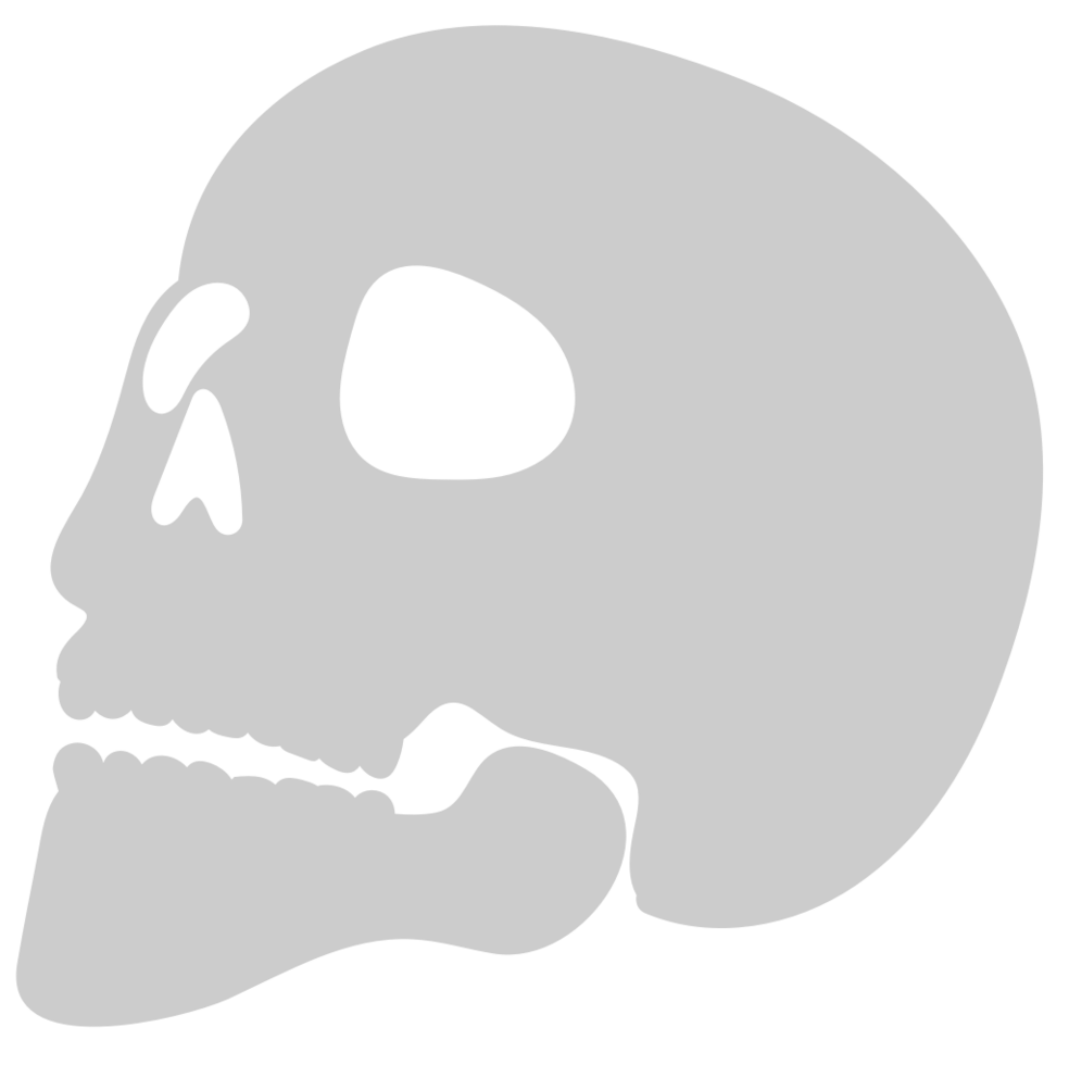 Skull  vector