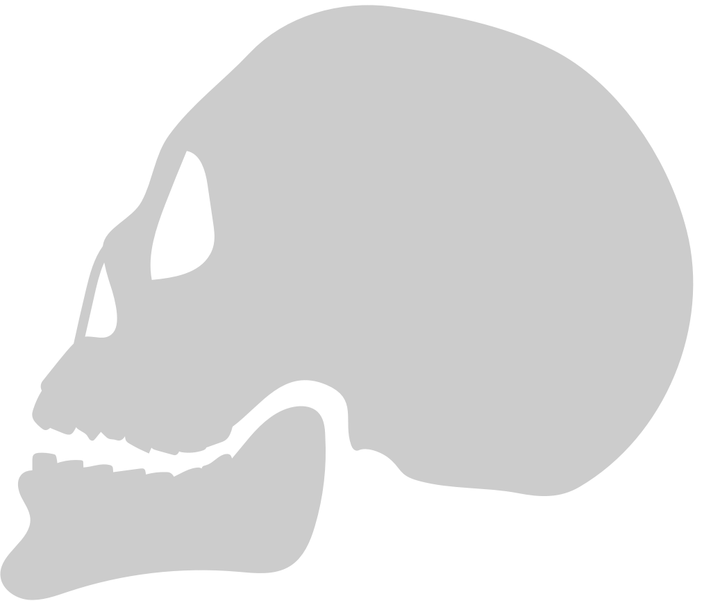 Skull  vector