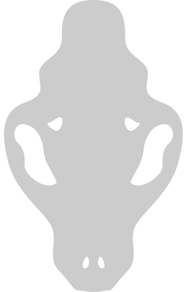 Skull leopard vector