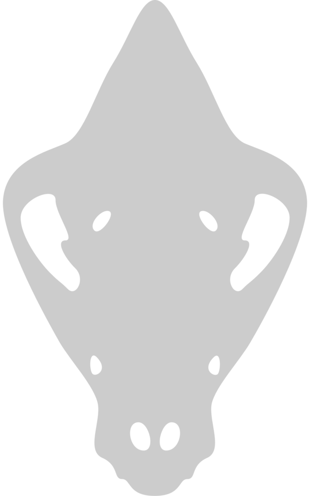 Skull hyaena vector
