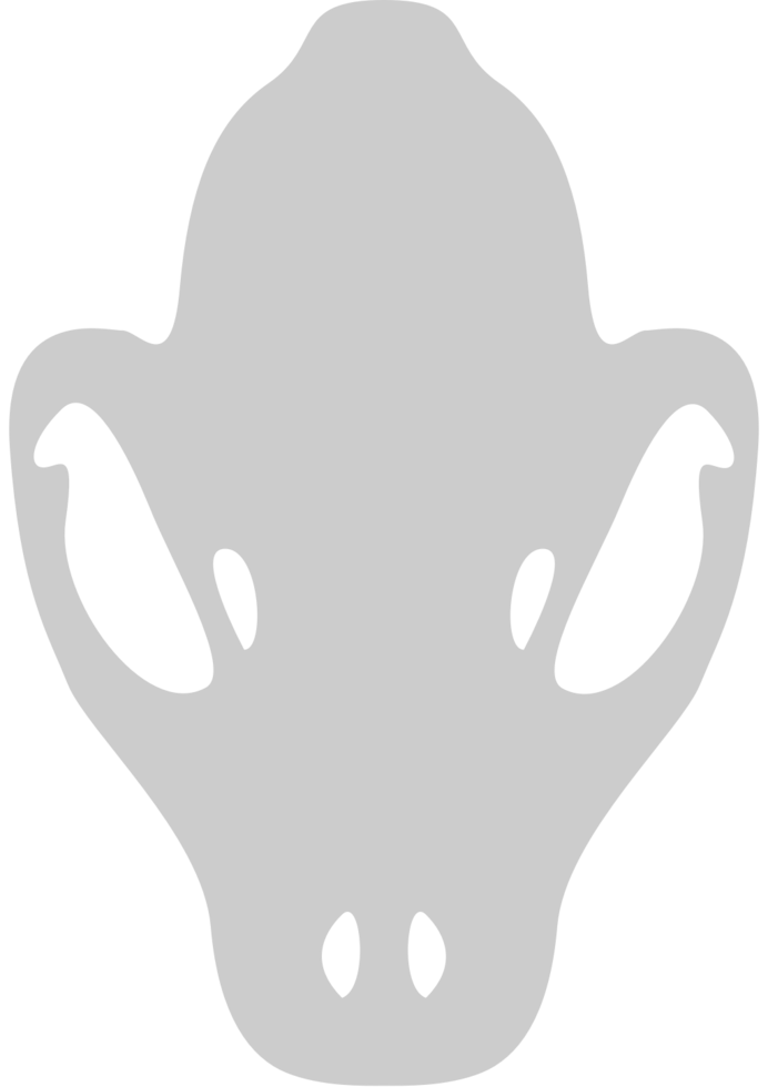 Skull cheetah vector