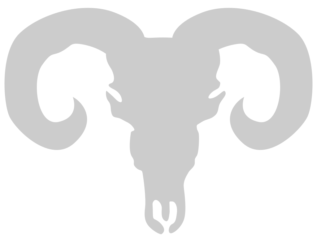 Skull bull vector