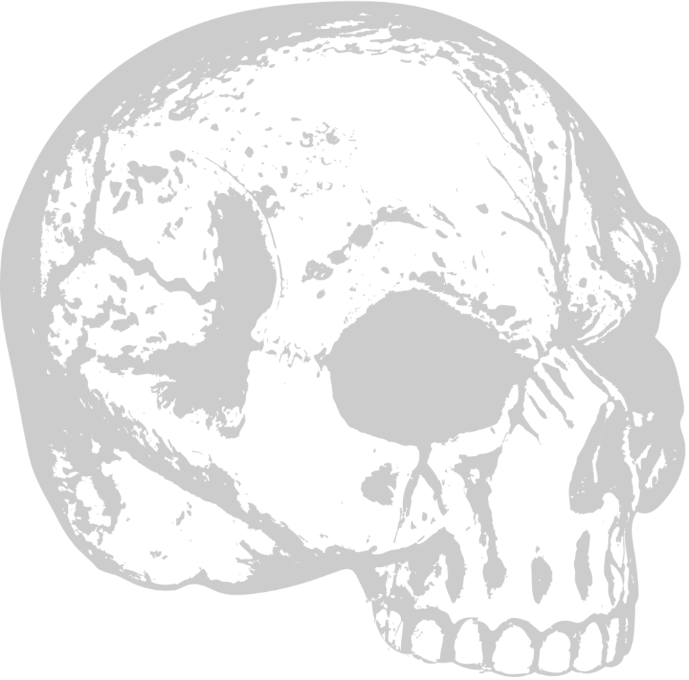 Skull grunge vector