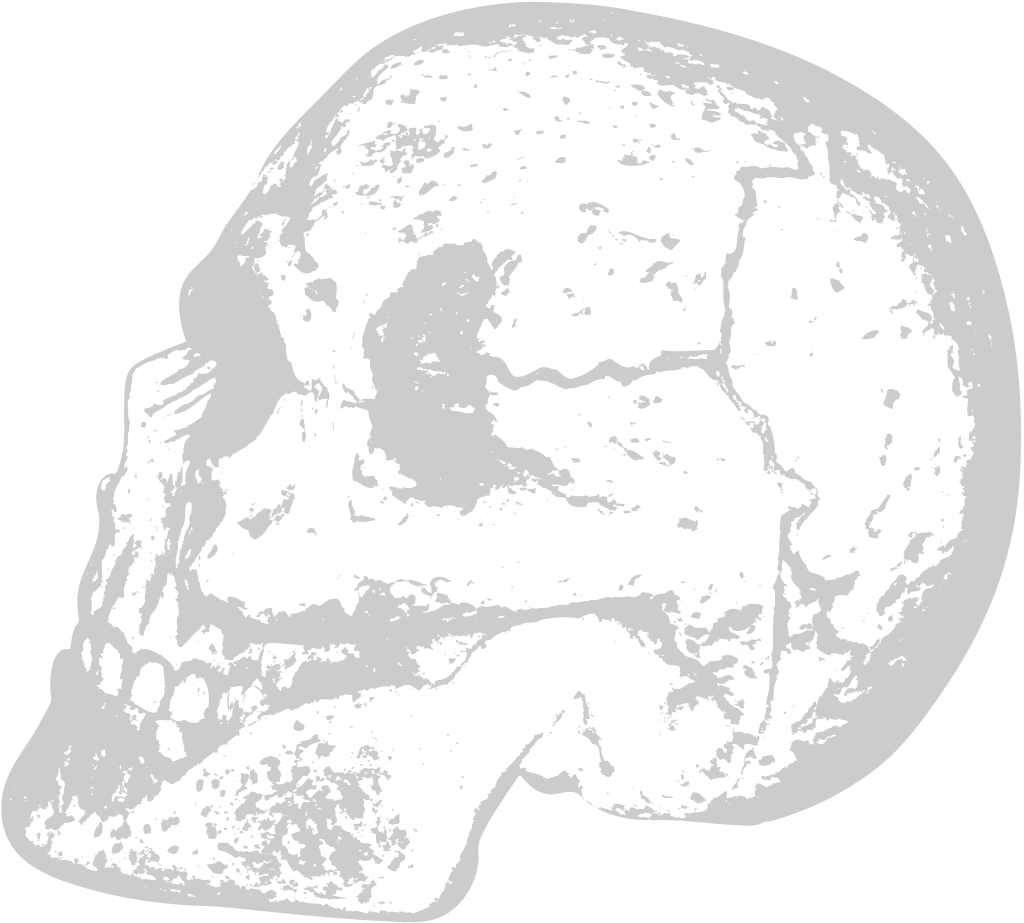 Skull grunge vector