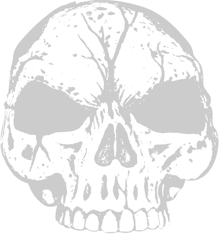 Skull grunge vector