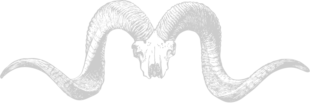 Skull goat  vector