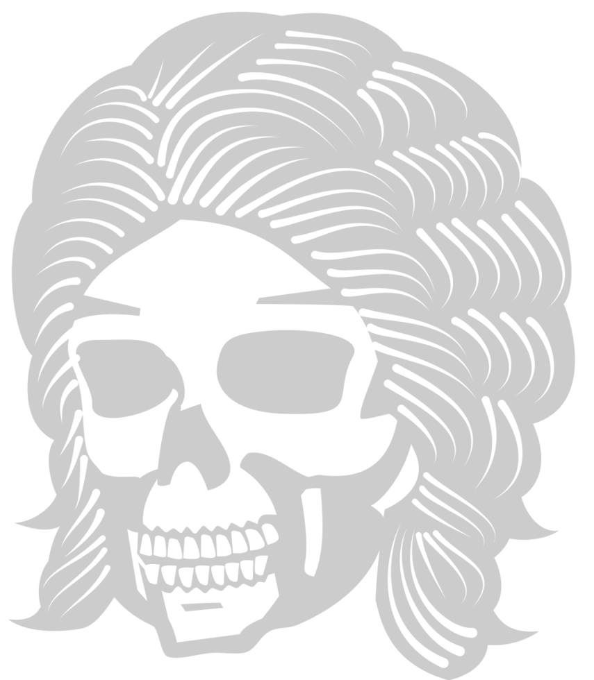 Skull with hair vector