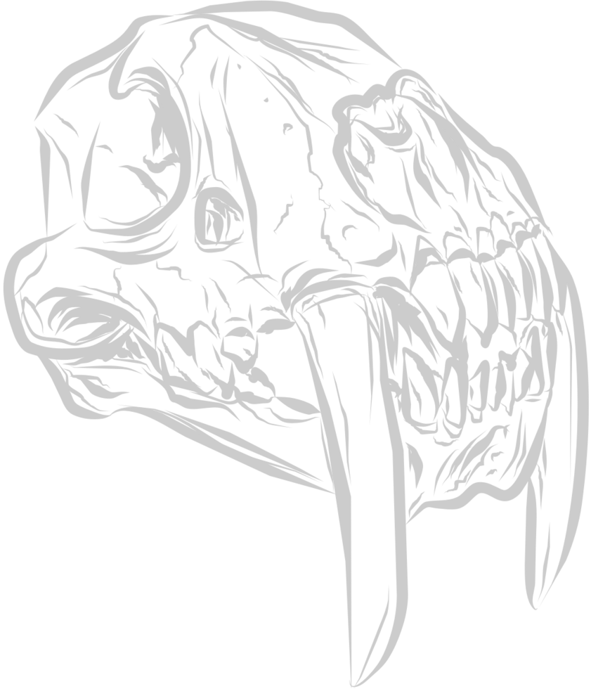 Skull animal vector
