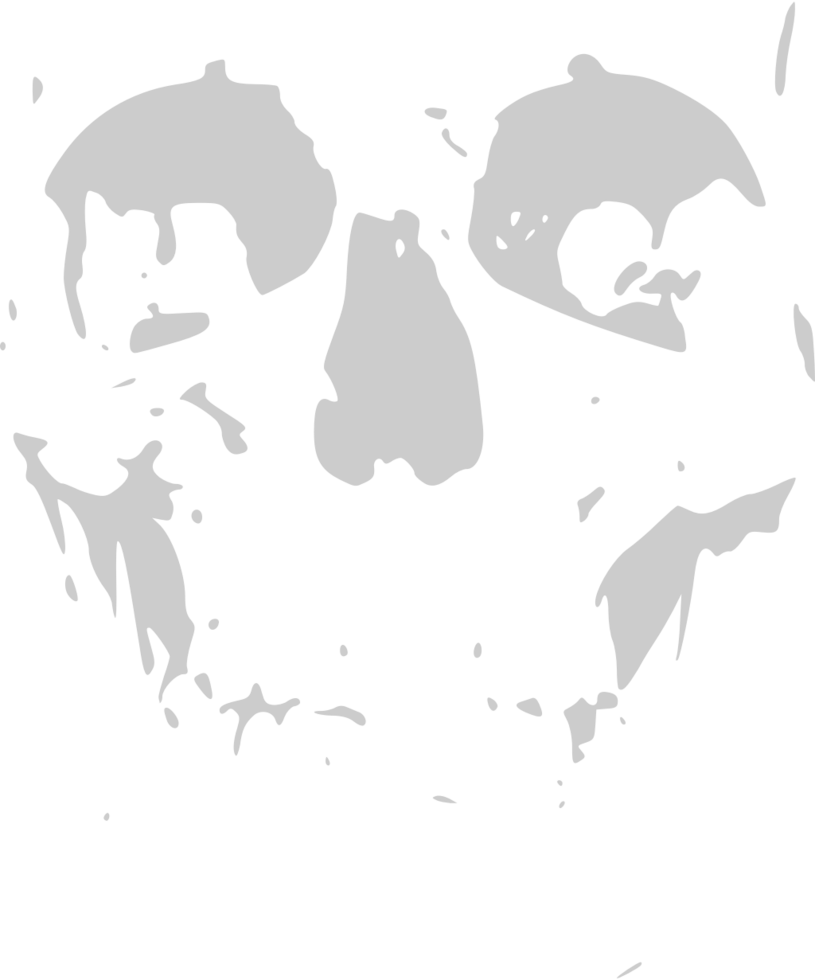 Skull grunge vector