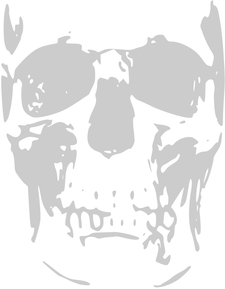 Skull grunge vector