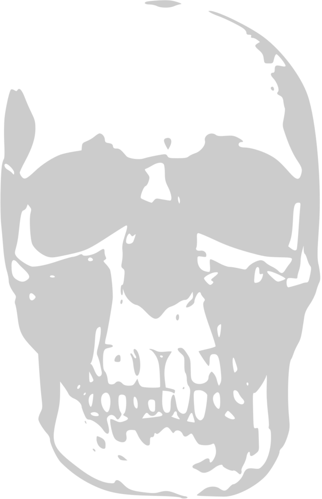 Skull grunge vector
