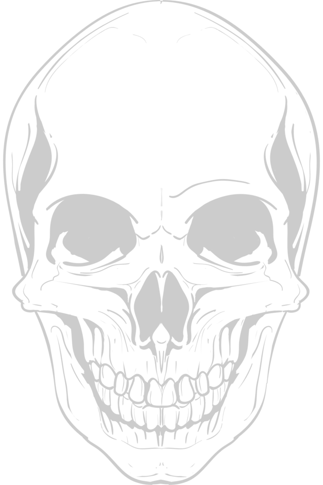 Skull vector