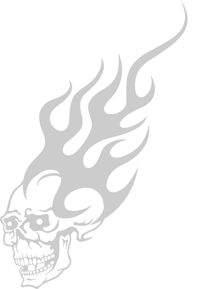 Skull fire vector