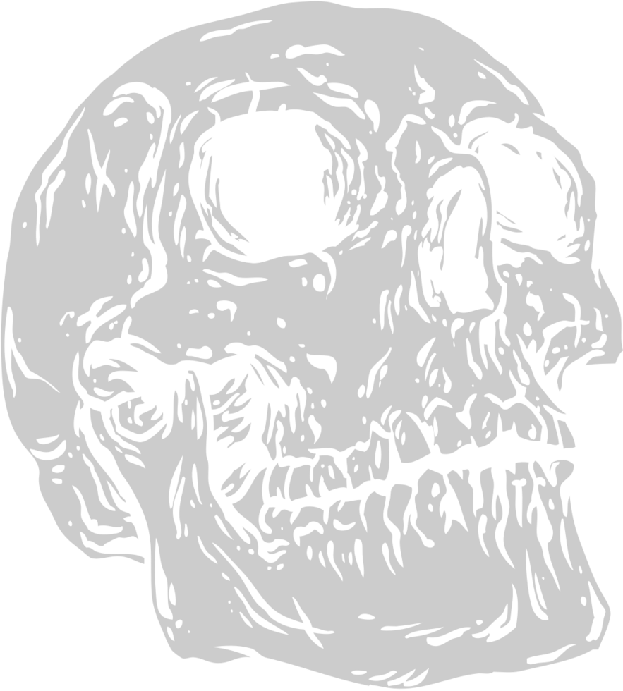 Skull  vector