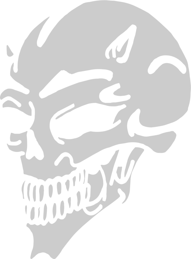 Skull vector