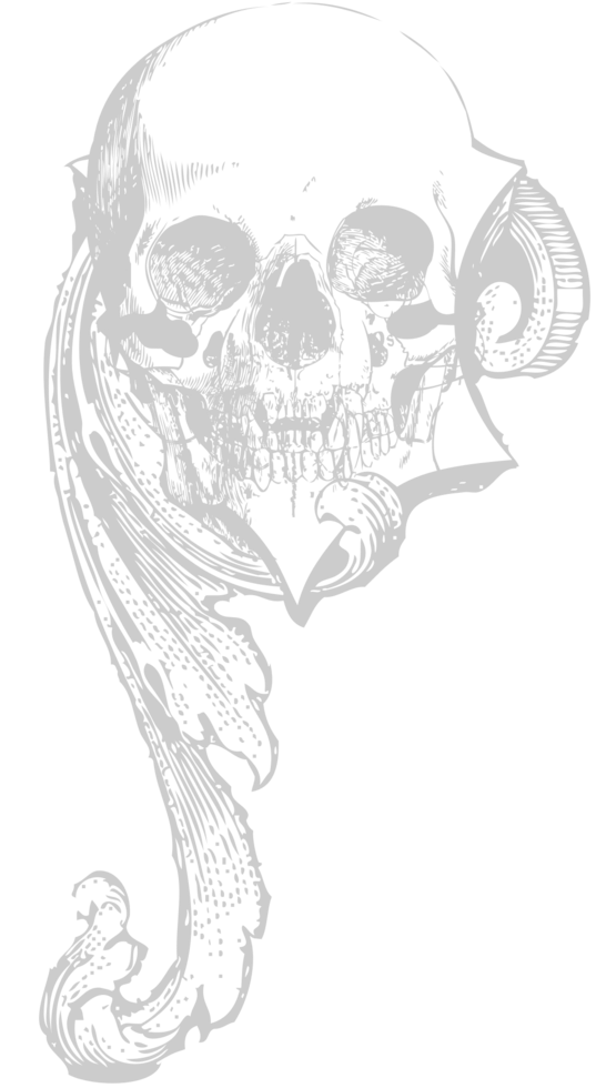 Skull abstract vector
