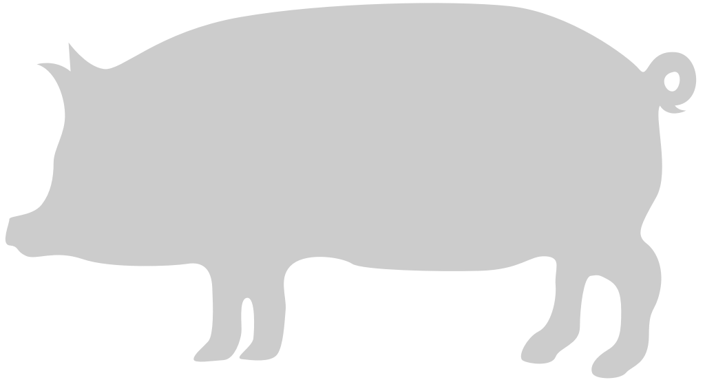 animal causas cerdo vector