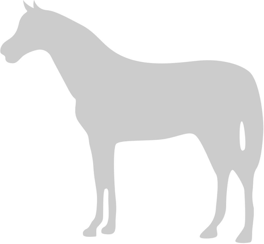 animal causa caballo vector