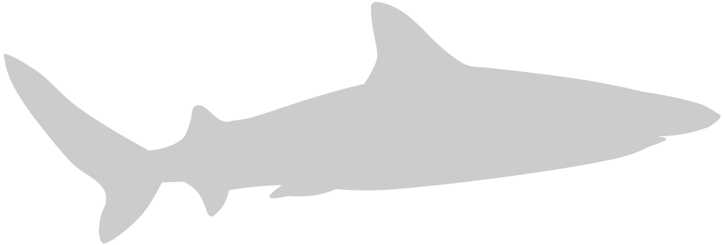 Animal Causes Shark vector