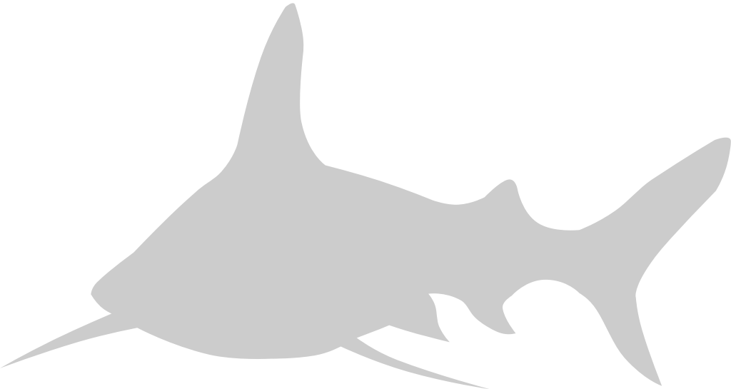 Animal Causes Shark vector