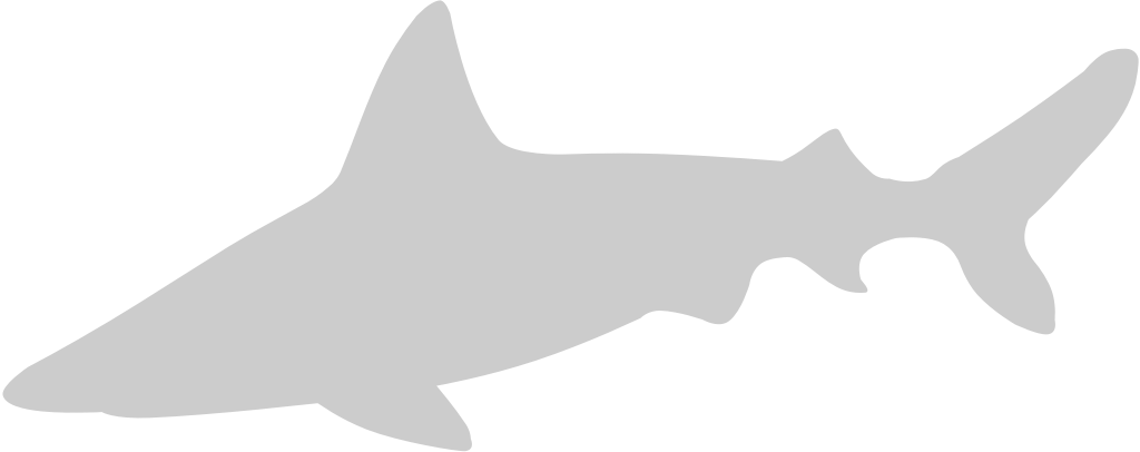 Animal Causes Shark vector