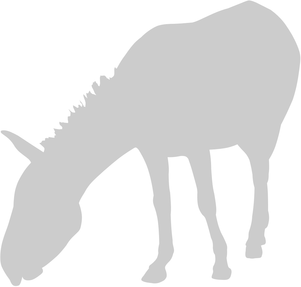 Donkey vector