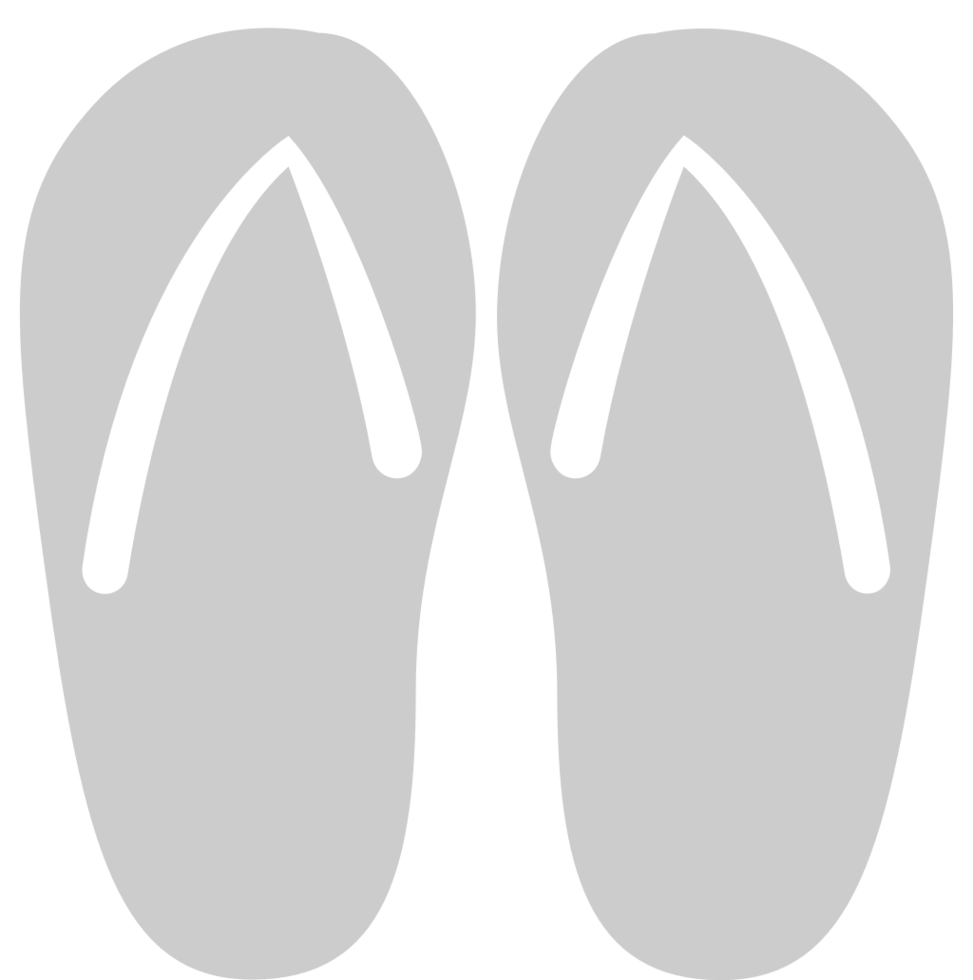 Flip Flop vector