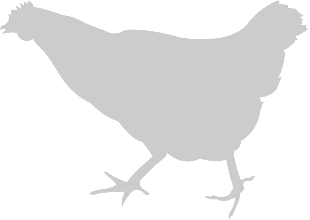 animal causas pollo vector