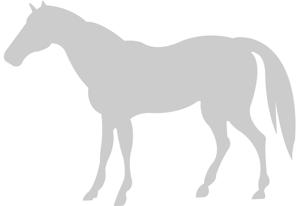 animal causa caballo vector